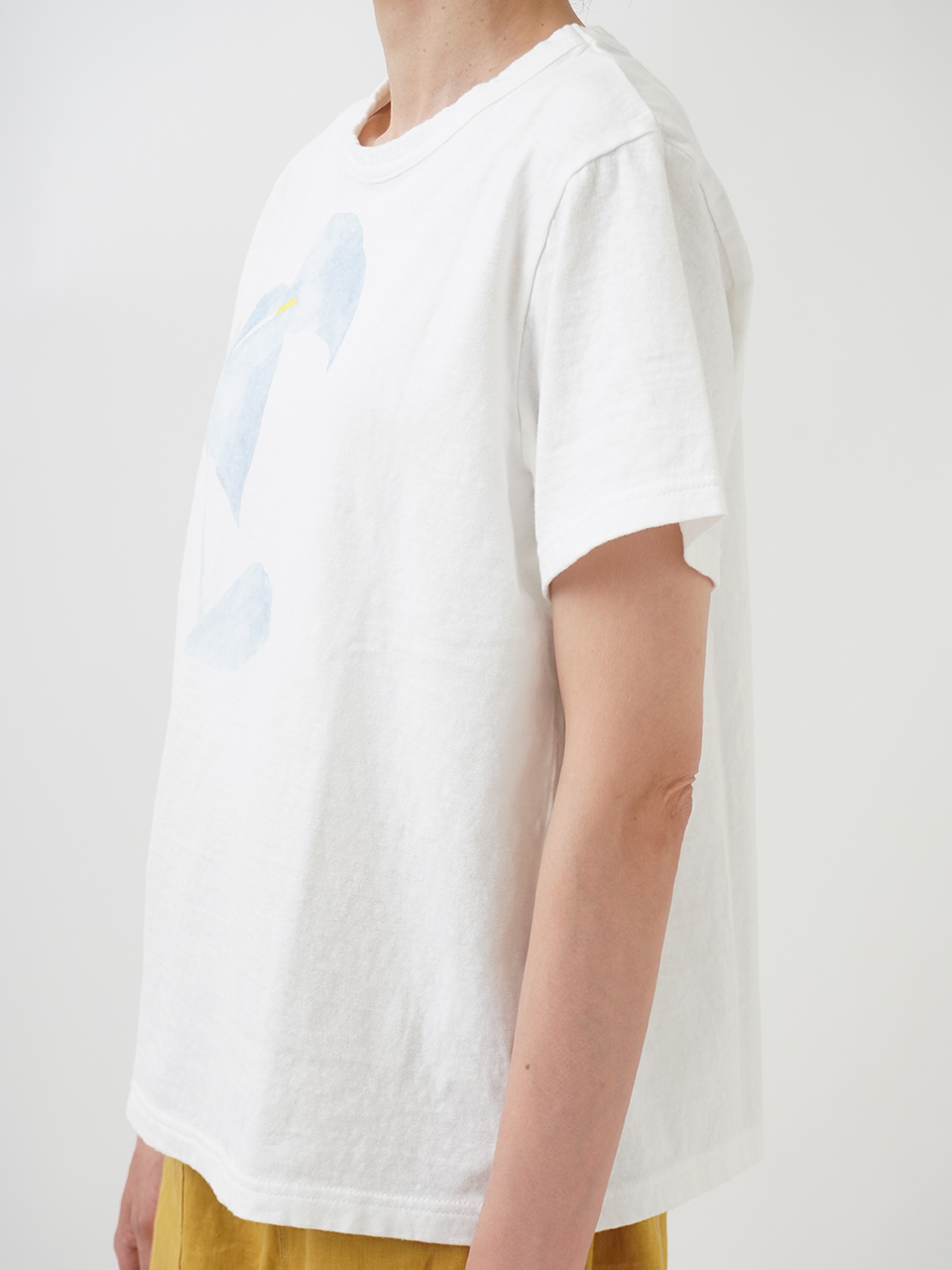 19／－ラフィ天竺海芋柄プリントTシャツ