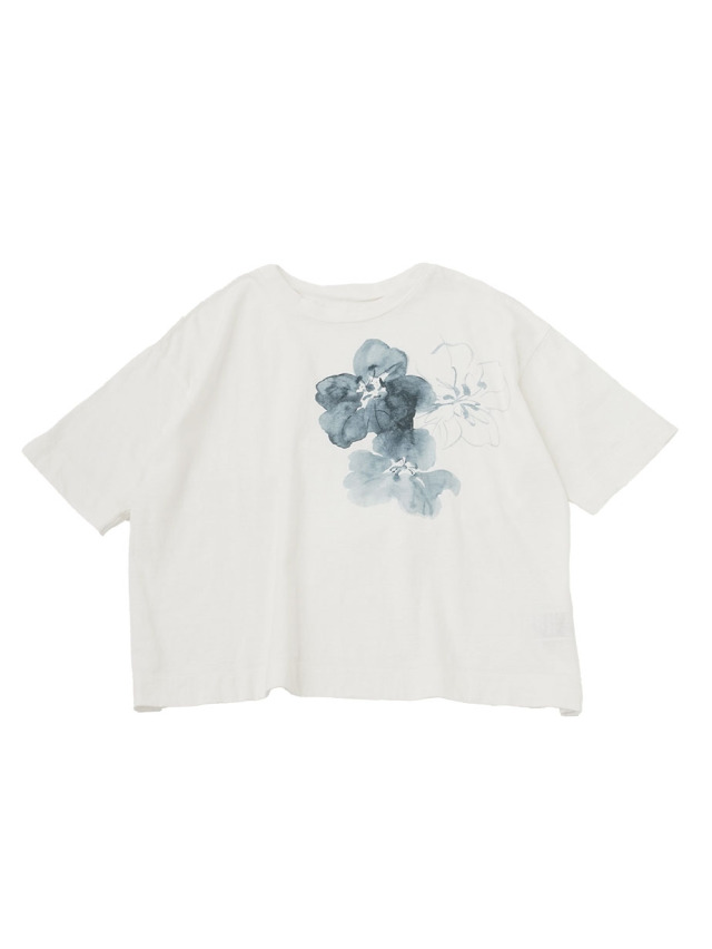 全商品 パラスパレス