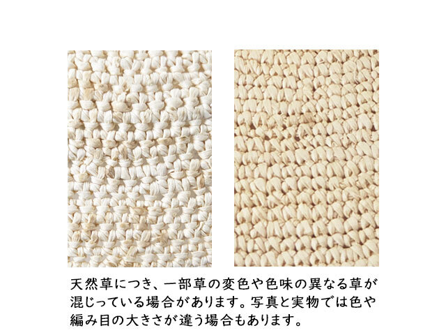 カギアミ パナマ