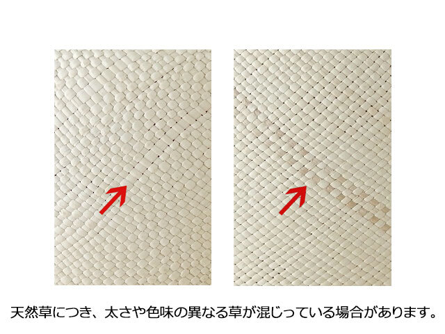 パナマ ナチュラル デメリット