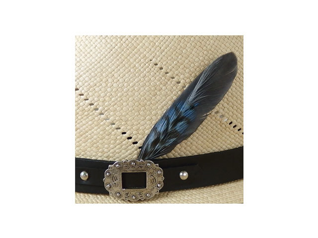 パナマ グレゴリー