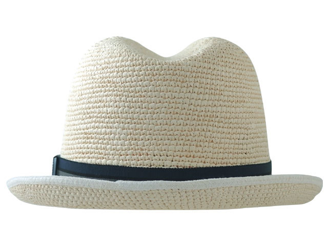 パナマ スペシャルソフト