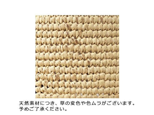 パナマ カギアミ ディクソン