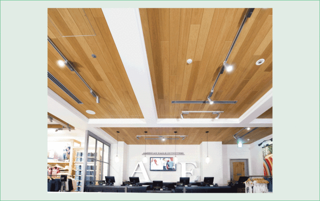 不燃天井ｎｅｏ