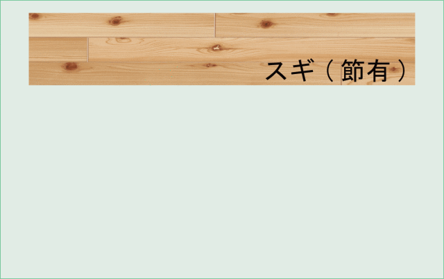 不燃天井ｎｅｏ