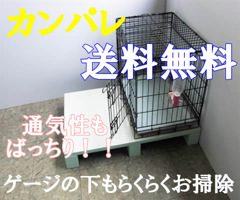 パレット