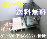 パレット
