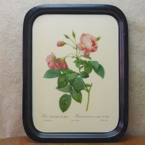 フランス ブロカント　　ピンク薔薇　　トレー（1950年頃）