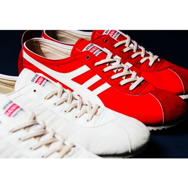 パンサーJ オゾン発生器『Panther-J』 カイコーポレーション | イプロス