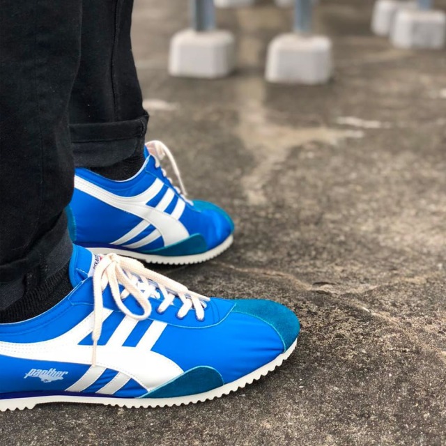 PANTHER DERA PTJ-0003 COBALT BLUE