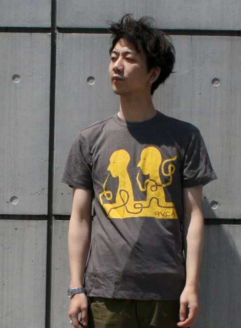 RVCA　SILHOUETTES（Ed Templeton/エド・テンプルトン）DBR