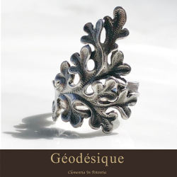 Geodesique ジィオデシック ウィーディ リング