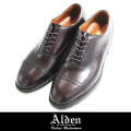 Alden オールデン CALFSKIN PERFTIP BAL 905 BUG