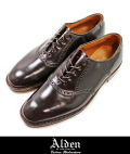 Alden オールデン D6310  PLAIN TOE メダリオン #8 BURGUNDY