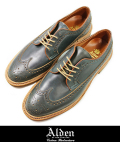 Alden オールデン D5510  WINGTIP BLUCHER ウィングチップ GREEN/BLUE