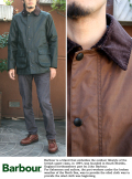 Barbour バブアー　BEDELE SL ビデイル