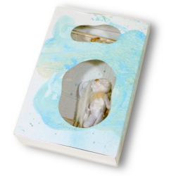 LIEN_seabed_tuberosa_M