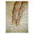 corset_leg_2.jpg