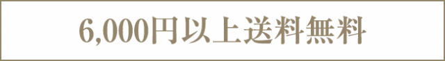 6000円以上送料無料