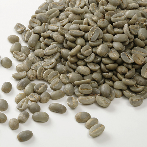【エルメラ産】東ティモール産 コーヒー生豆（1kg~10kg）