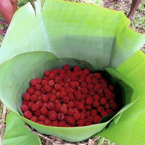 African Table ドライライチ Par Marche（パルマルシェ）