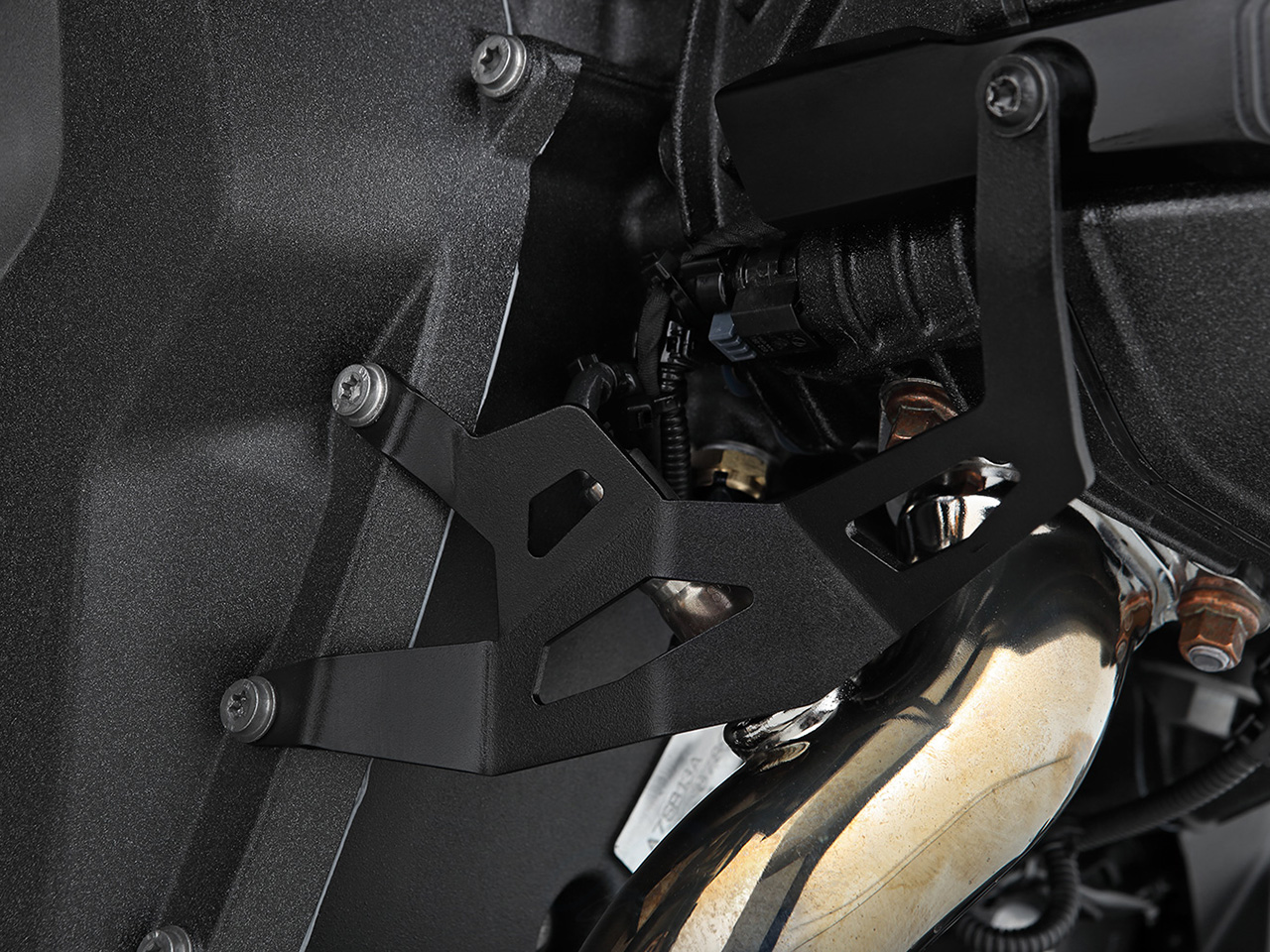 ワンダーリッヒ O2センサーガード BMW R1300GS