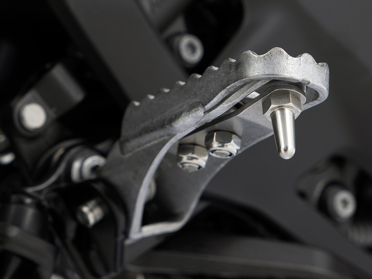 ワンダーリッヒ リーンアングルインジケーター 純正標準フットレスト用 BMW R1300GS