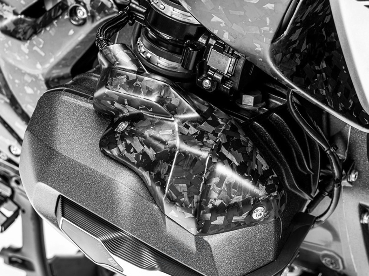 ワンダーリッヒ カーボン インジェクターノズルカバー ブラックダイヤモンド カーボン BMW R1300GS / R1300GS Adventure