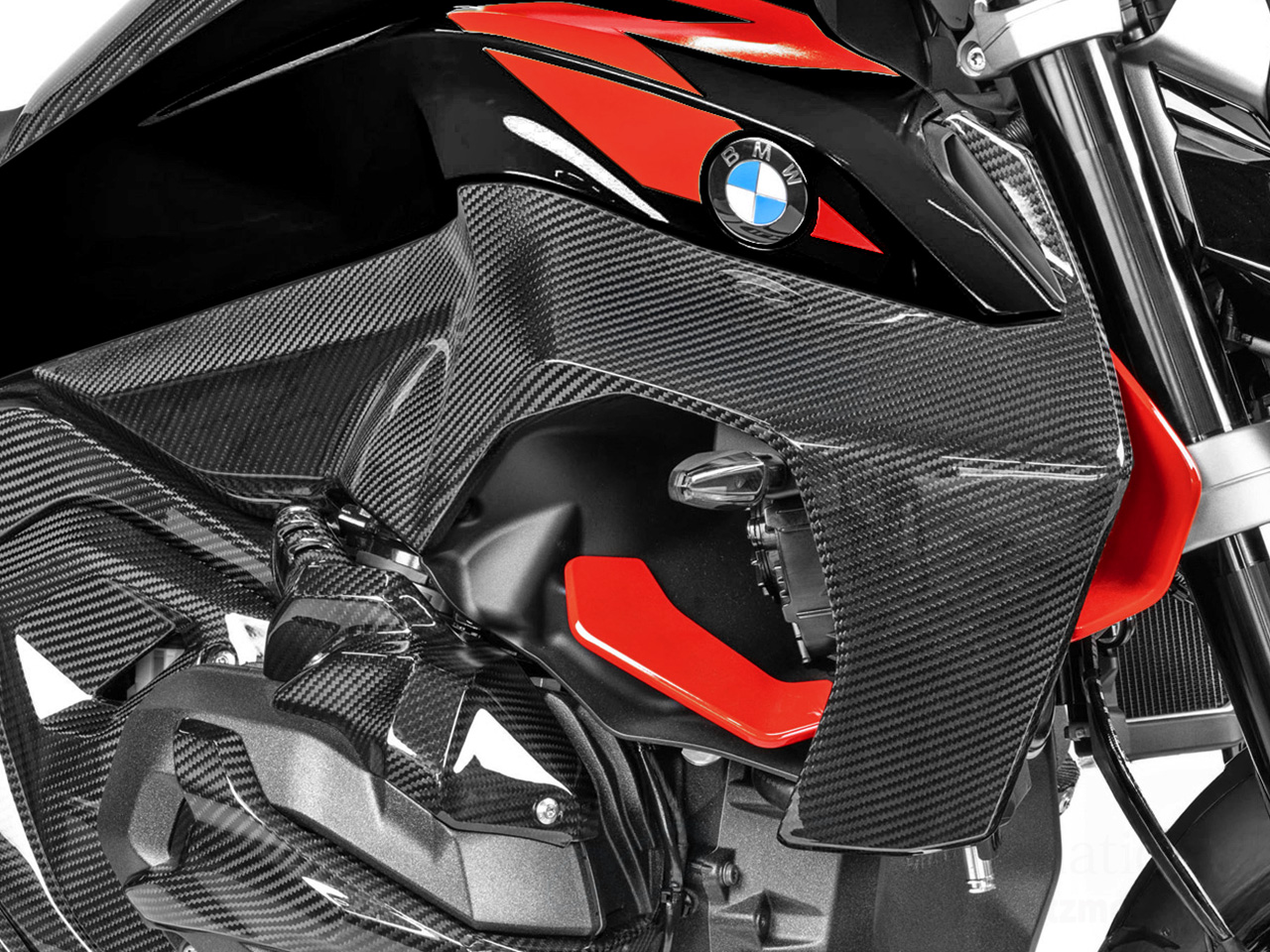 ワンダーリッヒ カーボン エアアウトレットパネル BMW R1300R