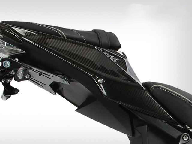 ワンダーリッヒ カーボンリアテールカウル BMW S1000R