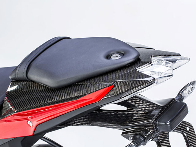 ワンダーリッヒ カーボンテールライトカバー BMW S1000R('14-) / S1000RR('15-)