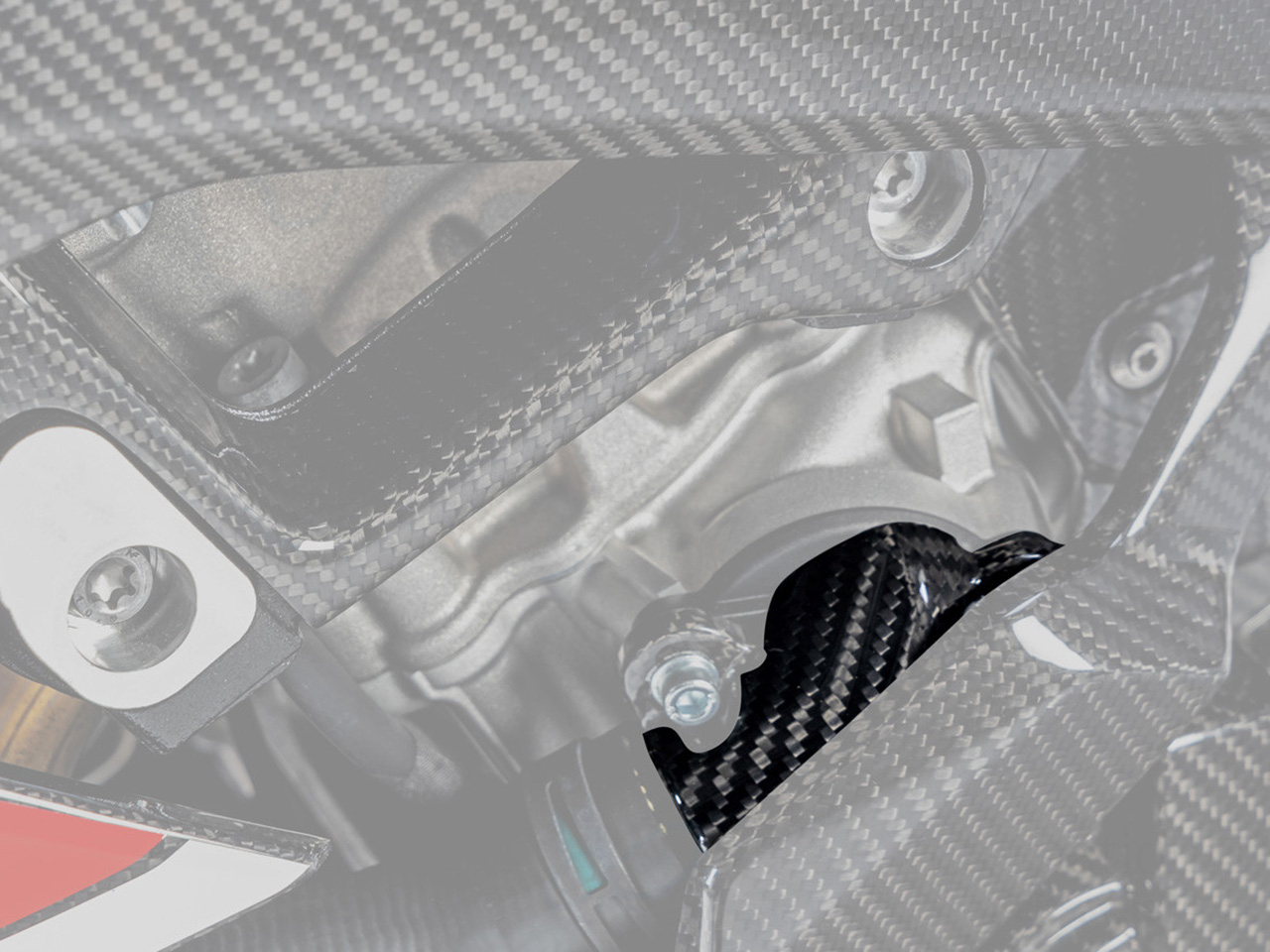 Wunderlich カーボンウォーターポンプカバー BMW M1000R