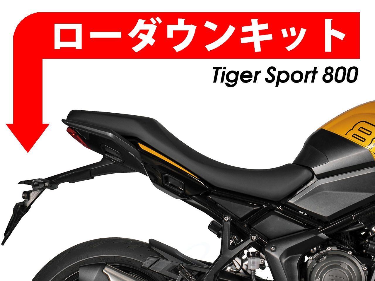 ローダウンキット For Triumph タイガースポーツ800
