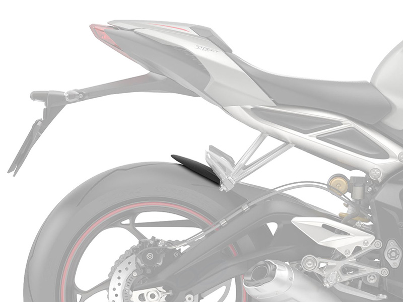 P&A International リアエクステンドフェンダー Triumph Street Triple 765('17-)