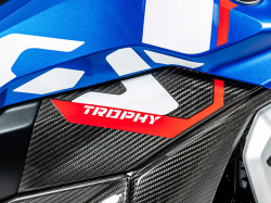 ワンダーリッヒ カーボンタンクサイドカバー Upper BMW R1300GS