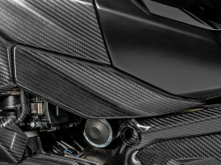 ワンダーリッヒ カーボンタンクサイドカバー Lower BMW R1300GS