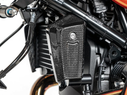 ワンダーリッヒ カーボン オイルクーラー カバー BMW R12 nineT