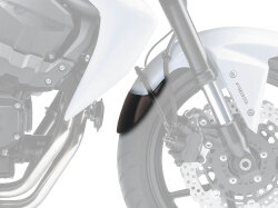 P&A International Extender Fender / エクステンダーフェンダー Kawasaki