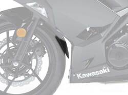 P&A International Extender Fender / エクステンダーフェンダー Kawasaki
