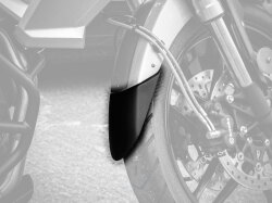 P&A International Extender Fender / エクステンダーフェンダー Triumph