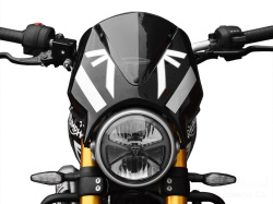 P&A International ヘッドライトフェアリング Triumph スピード400