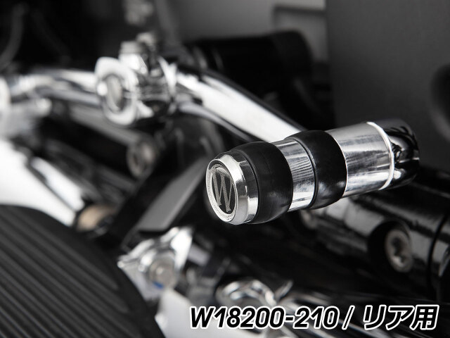 【限定価格】BMW M1000 Mパケ用 EPTAステージ0ローター 左右セット ギルズツーリング アジャスタブルバックステップ VCR38GT2 BMW