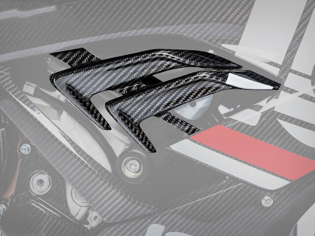 Wunderlich カーボン ウイングレット S1000RR (