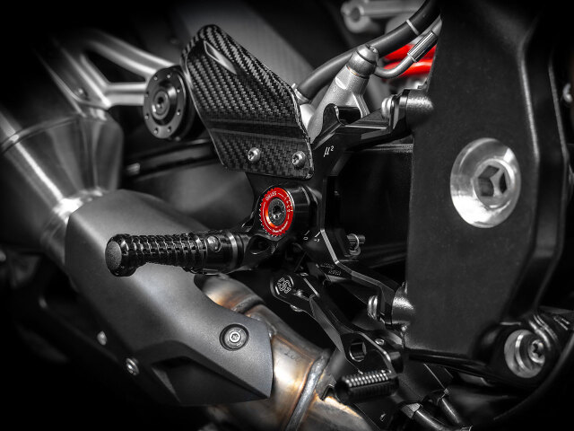 BMW オプション ステップ S1000R M1000R カーボン ブレーキ