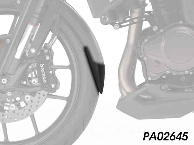 P&A International Extender Fender/エクステンダーフェンダー Triumph