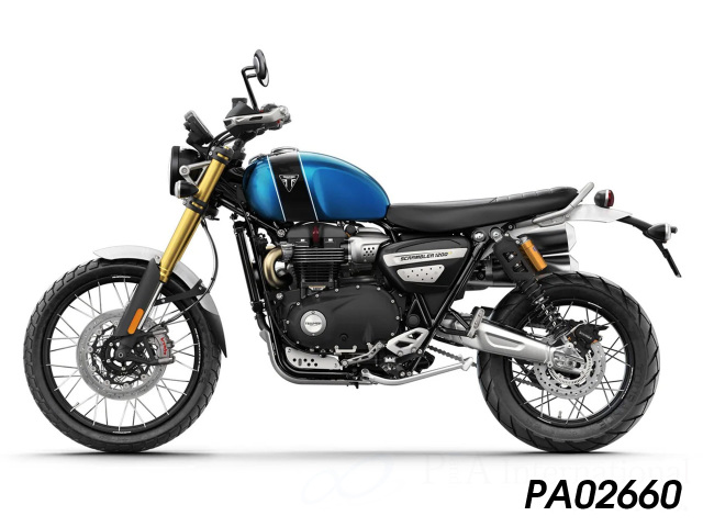 P&A International Extender Fender/エクステンダーフェンダーTriumph