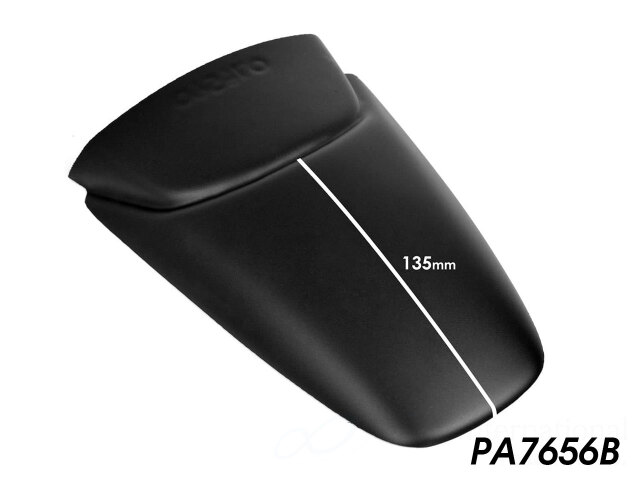 P&A International リアエクステンドフェンダー Triumph トライデント660