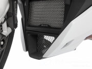 ワンダーリッヒ プロテクショングリル for アンダーカウル S1000R