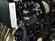 P&A International クラッシュパッド X-Pad Kawasaki Z900('17-) / Z900RS('18-)