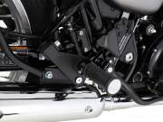 フットレストロワーニング for タンデムライダー Kawasaki W800 Standard / Street / cafe